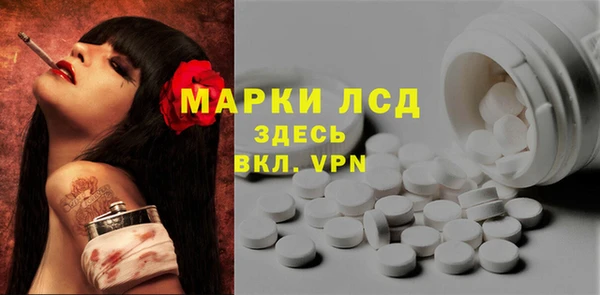твердый Аркадак
