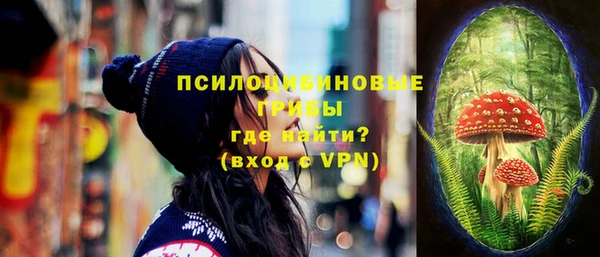 твердый Аркадак