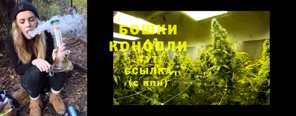 твердый Аркадак