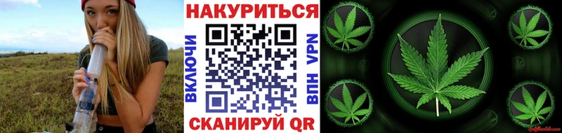 Канабис планчик Агрыз